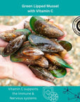 Green Lipped Mussel - 9 - AwaikenU
