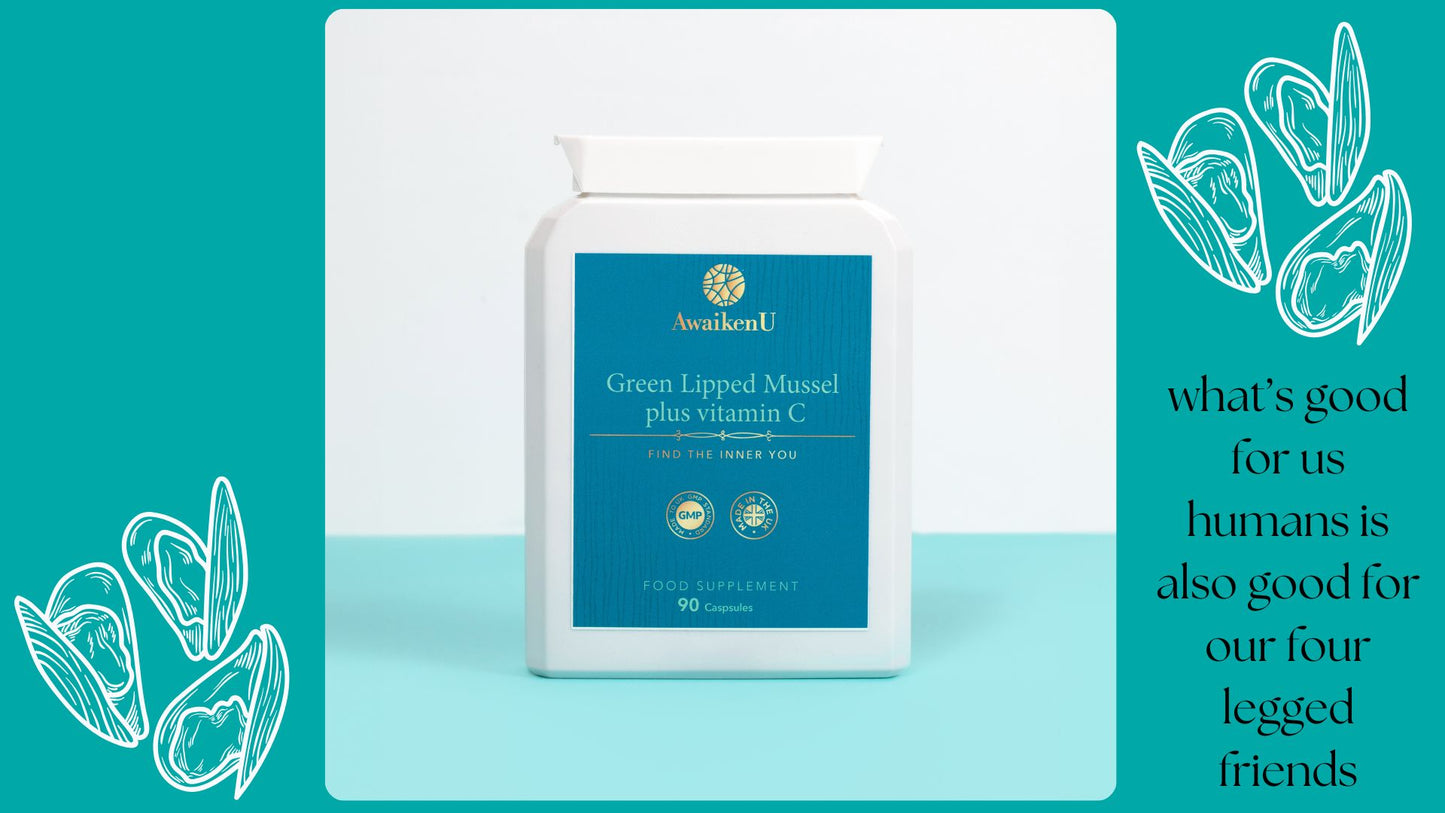 Green Lipped Mussel