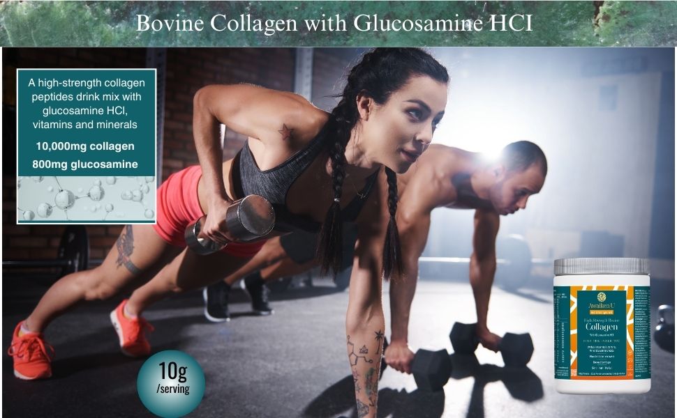 Bovine Collagen with Glucosamine HCI - 6 - AwaikenU