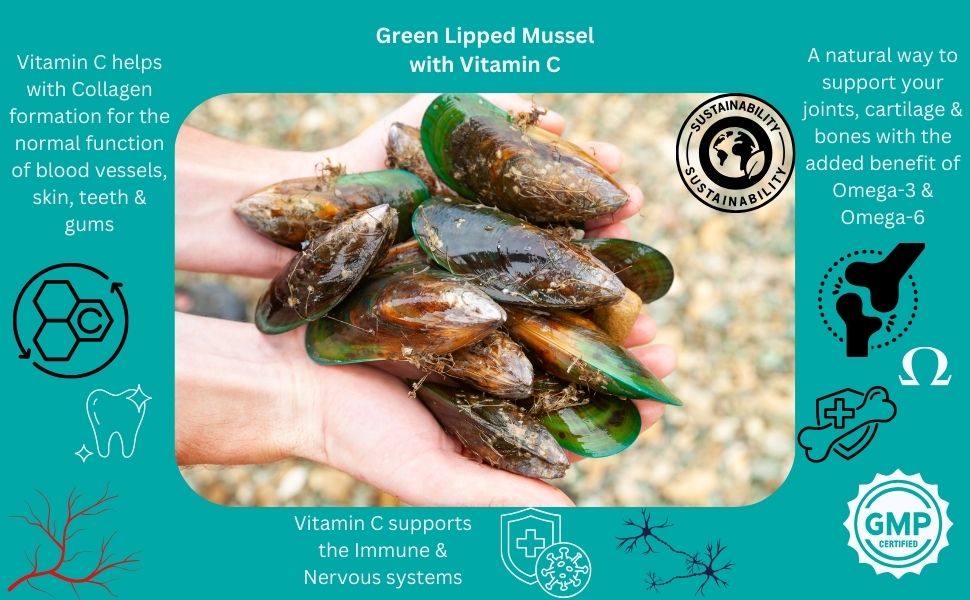 Green Lipped Mussel