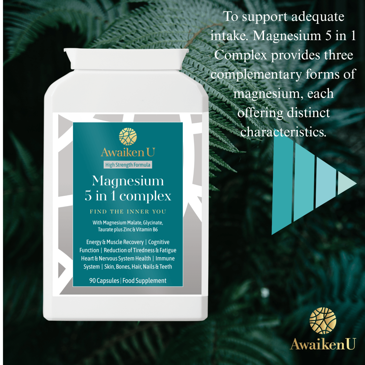 Magnesium 5 in 1 Complex - 11 - AwaikenU