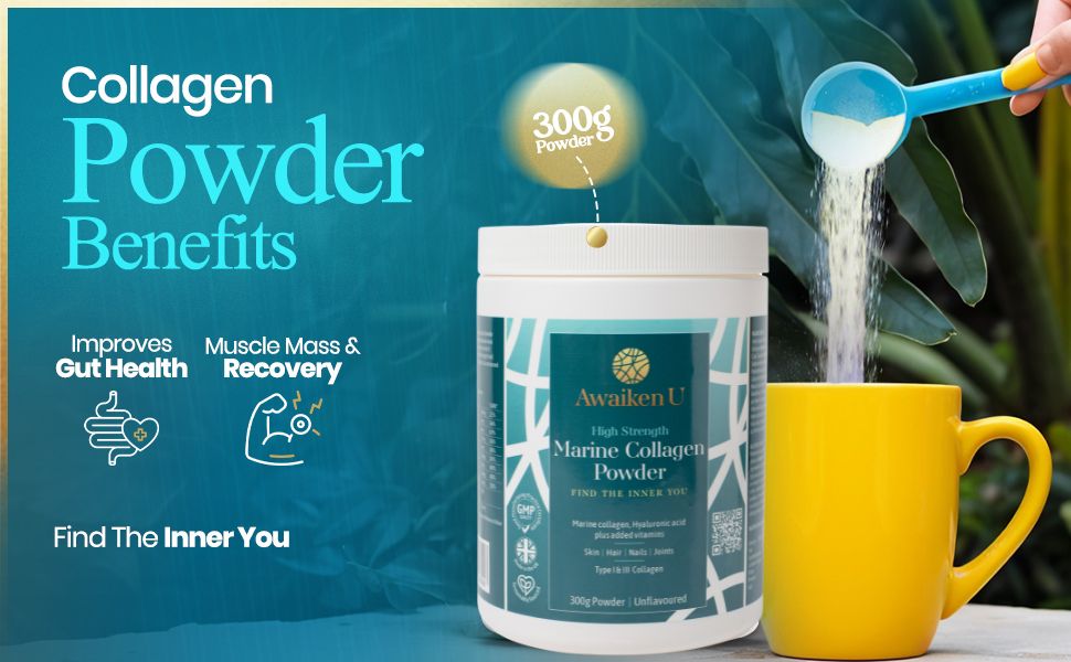 Marine Collagen Powder